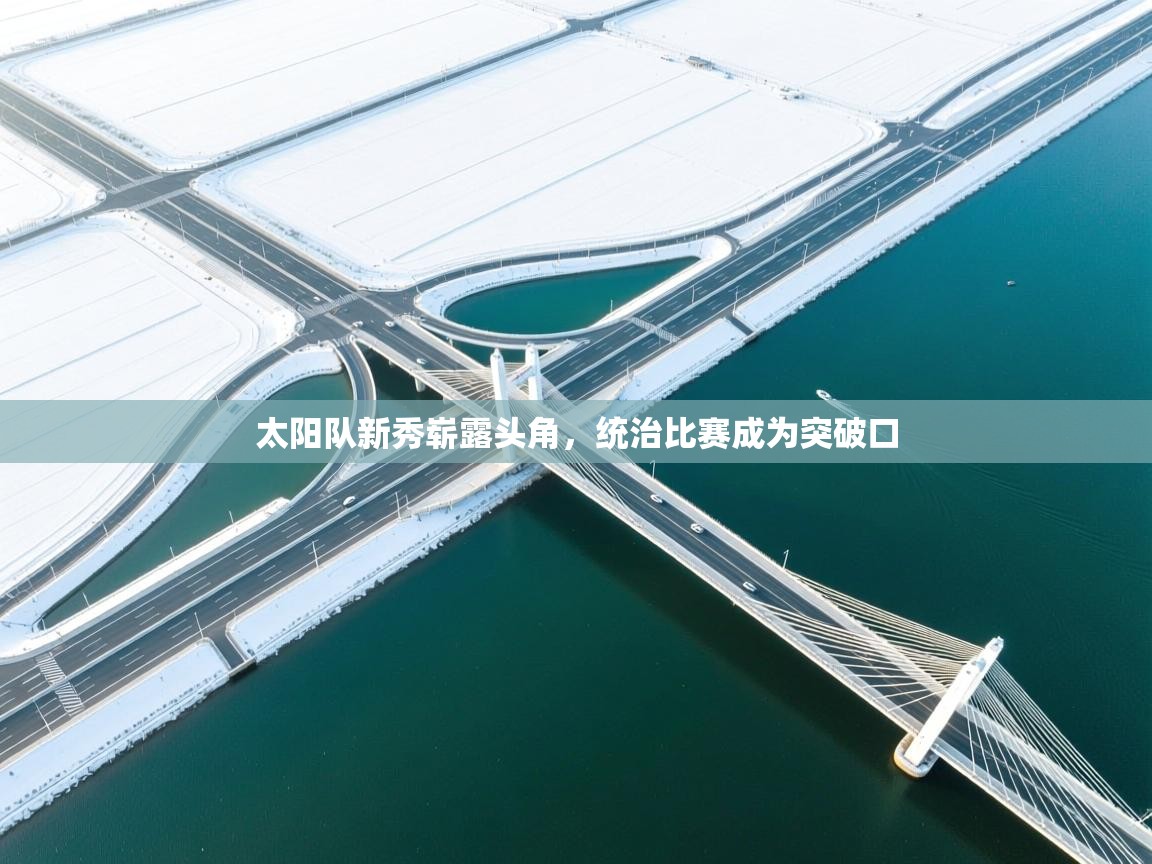 太阳队新秀崭露头角，统治比赛成为突破口  第1张