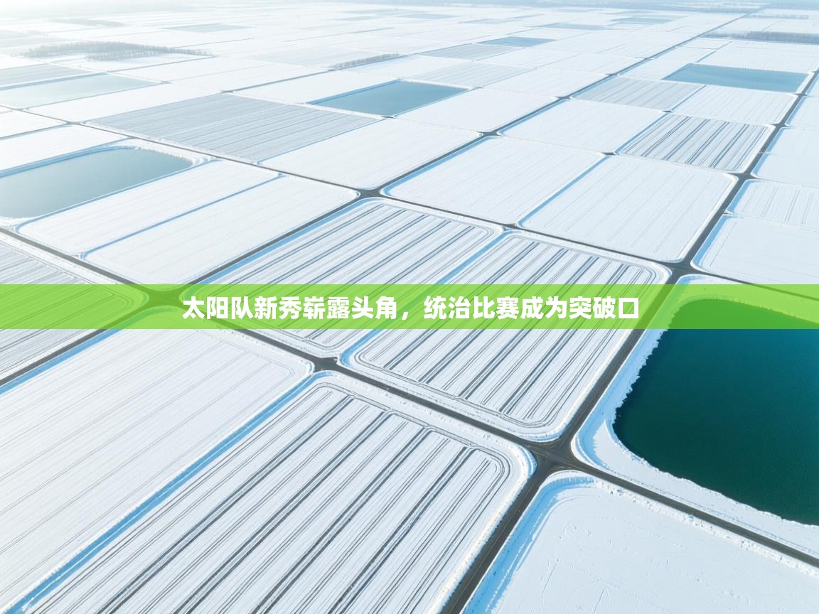 太阳队新秀崭露头角，统治比赛成为突破口  第2张